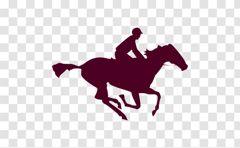 Horse A Tenth Of Second: History Equestrian Pony - Collection Transparent PNG