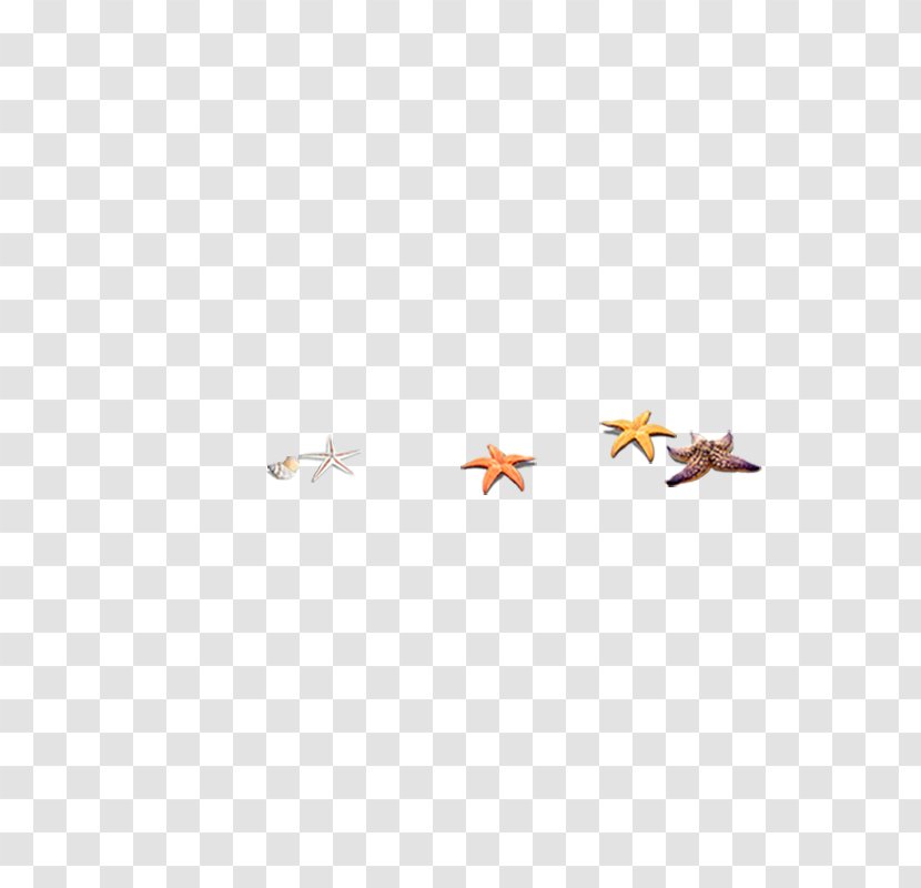 Area Pattern - Point - Starfish Transparent PNG