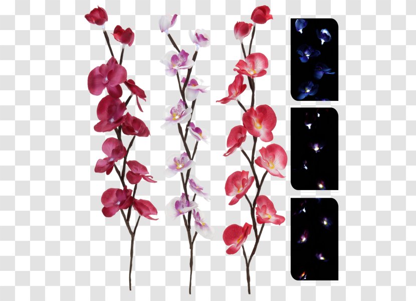 Light-emitting Diode Tree Branch Lighting Cut Flowers Transparent PNG