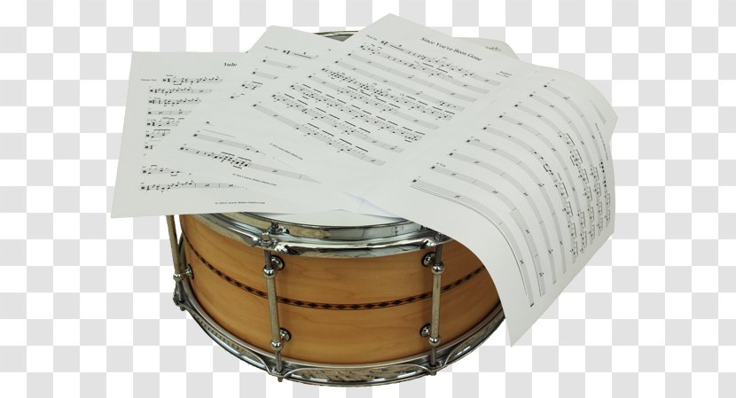 Tom-Toms Snare Drums Drummer - Tree Transparent PNG