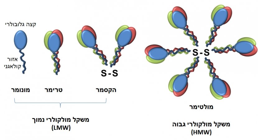 Adiponectin Structure Pixel Computer File - Display Resolution - Technology Transparent PNG