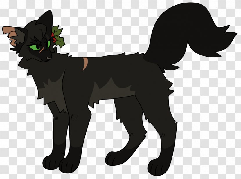 Cat Whiskers Hollyleaf Warriors Kitten - Small To Medium Sized Cats Transparent PNG