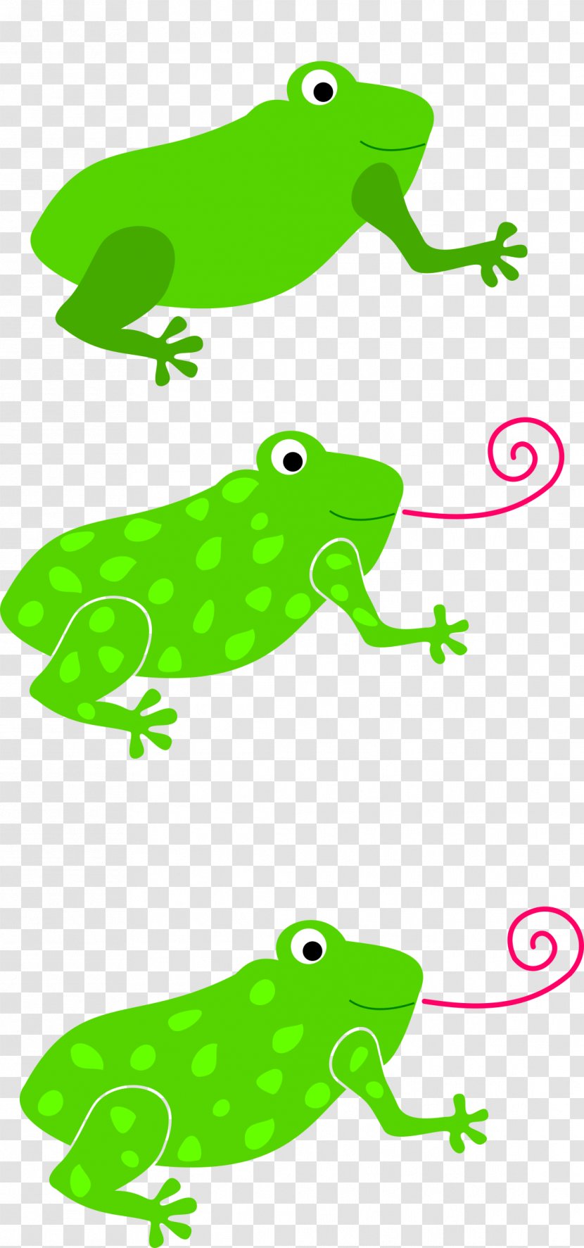 Tree Frog Tongue Toad Clip Art - Green Transparent PNG