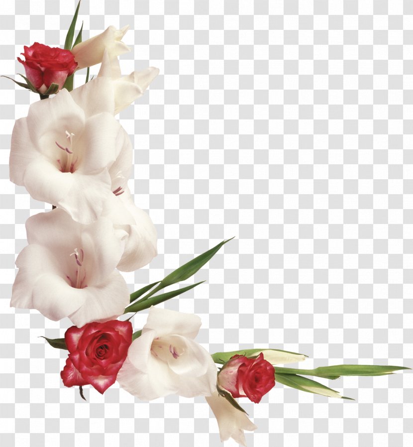 Flower Clip Art - Blossom - White Roses Transparent PNG