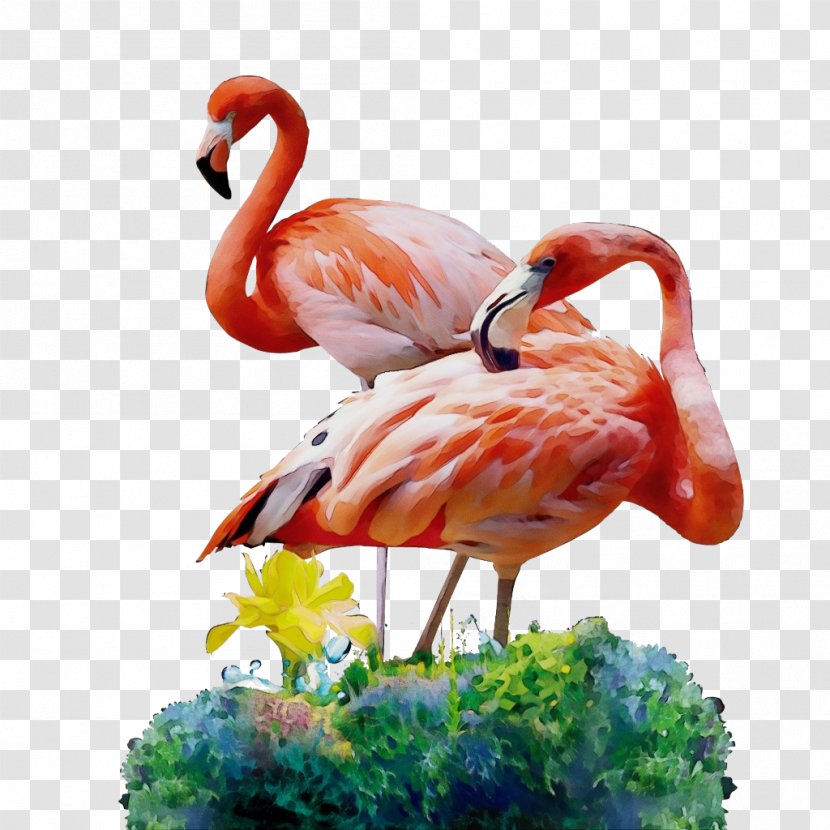 Flamingo Watercolor - Bird - Wildlife Water Transparent PNG