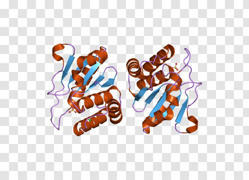 Dual-specificity Phosphatase DUSP10 Protein MAPK - Logo - Text Transparent PNG