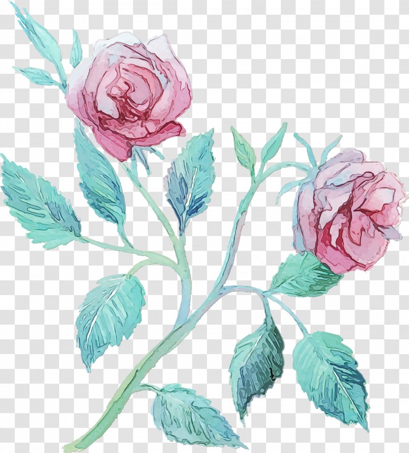 Garden Roses - Paint - Blue Rose Flowering Plant Transparent PNG