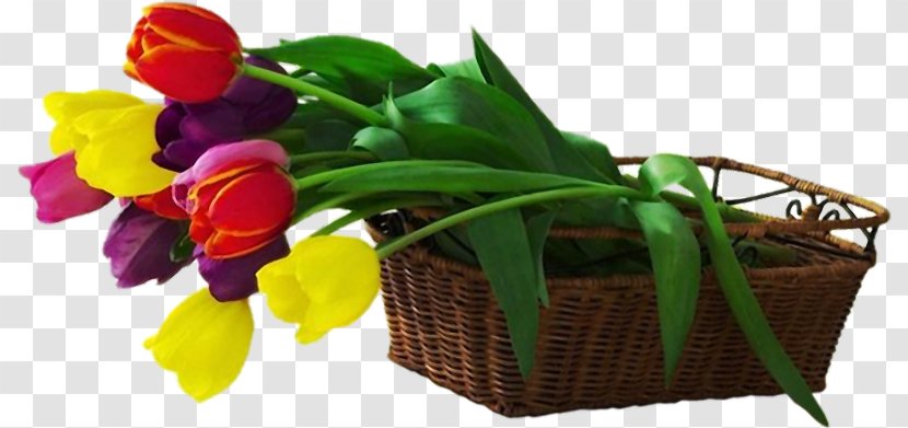 France Cabinet De Dermatologie Dr BENHIBA Hind Dermatology Friendship Skin - Gift - HD Tulip Flower Baskets Transparent PNG