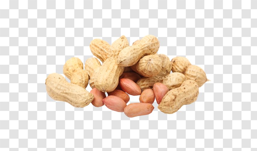 Peanut Food Almond Legume - Commodity Transparent PNG