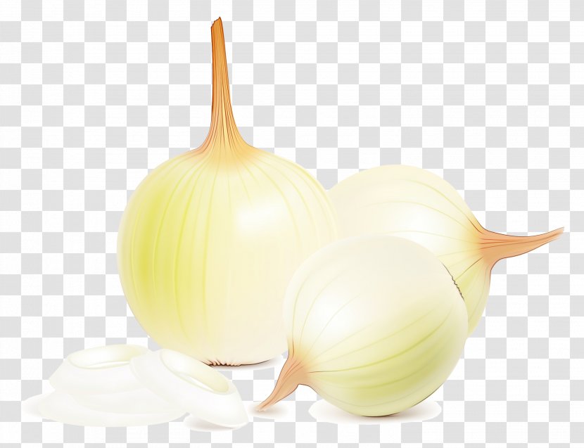 Yellow Onion Vegetable Garlic Illustration - Fruit Transparent PNG