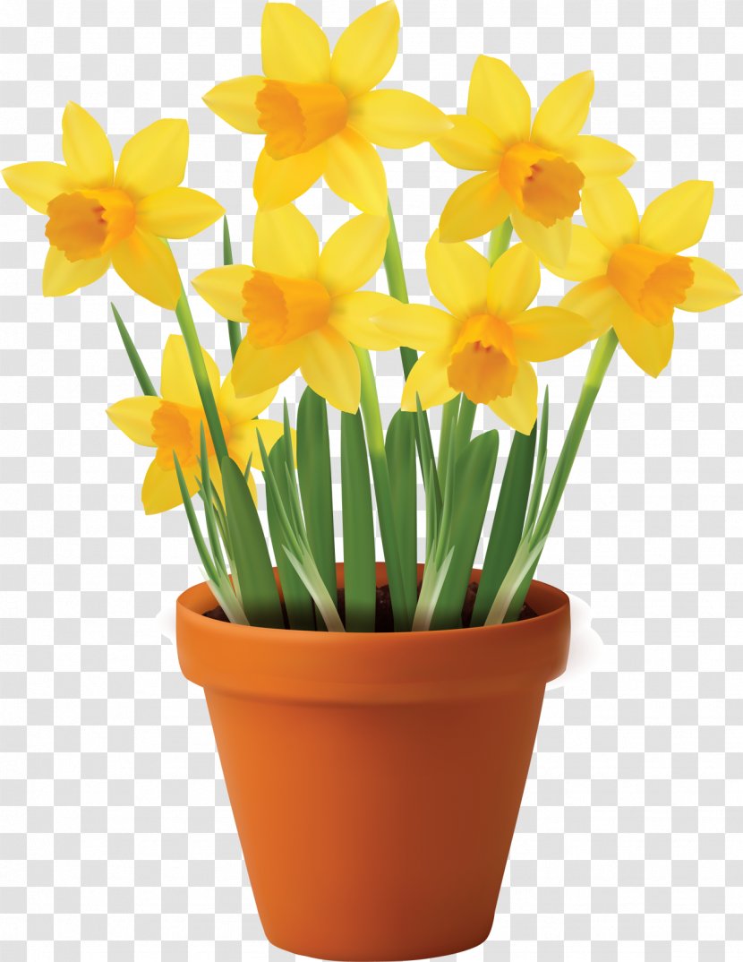 Flowerpot Vase Royalty-free Clip Art - Houseplant - Daffodils Transparent PNG