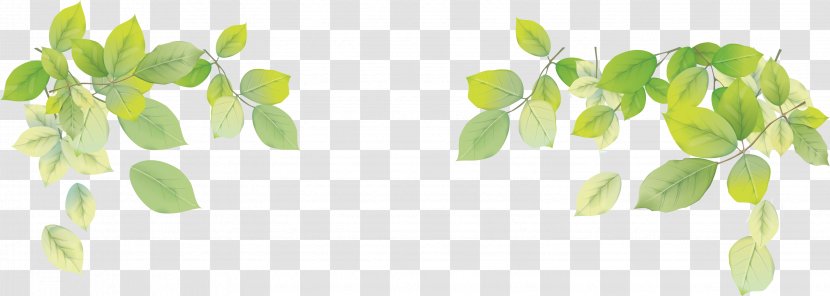 Desktop Wallpaper Leaf Clip Art - Display Resolution - Watercolor Branch Transparent PNG