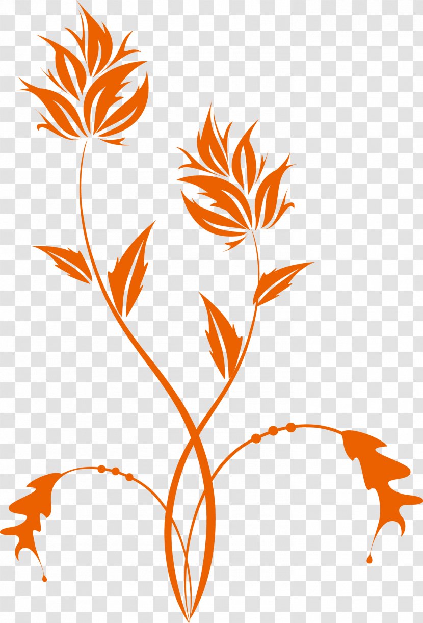 Floral Design Branch Leaf Petal Pattern - Wing - Plant Transparent PNG