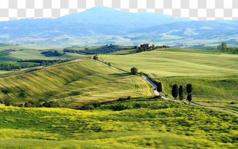 Siena Umbria Pienza Affittacamere Gozzante Agriturismo A Terrapille - Plain - Italy Tuscany Grassland Eight Transparent PNG