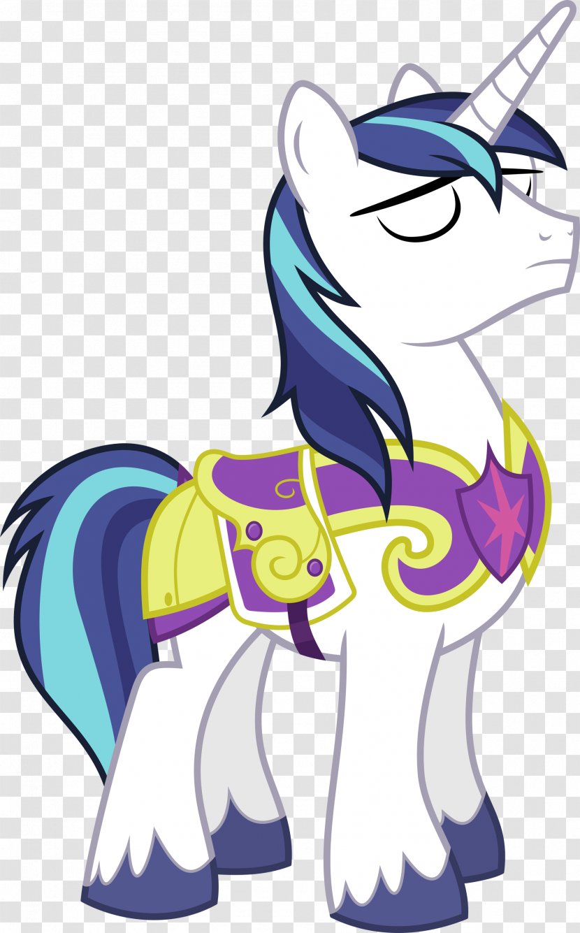 Twilight Sparkle Princess Cadance Rainbow Dash Spike Shining Armor - Pony - Shinning Transparent PNG