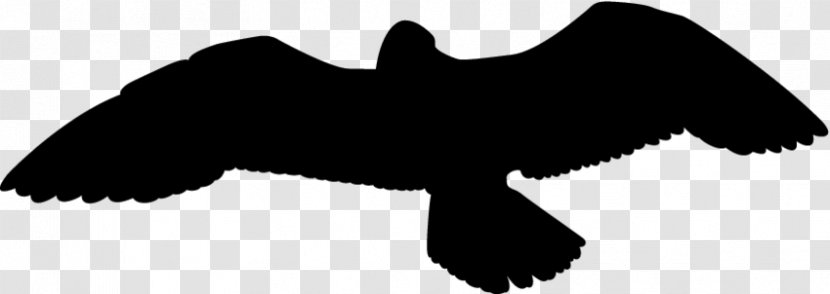 Wikimedia Commons Foundation Bat Creative Share-alike - License - European Robin Bird Transparent PNG