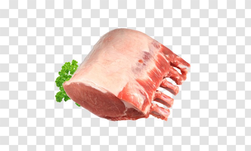 Ham Ribs Barbecue Pork Meat - Watercolor Transparent PNG