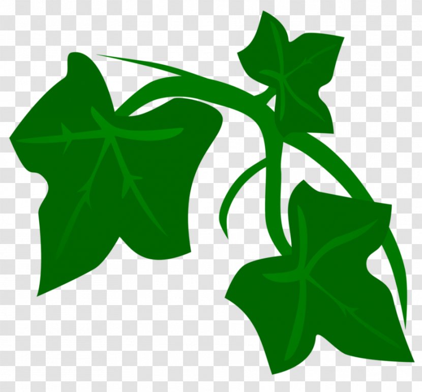 Poison Ivy Sumac Transparent PNG