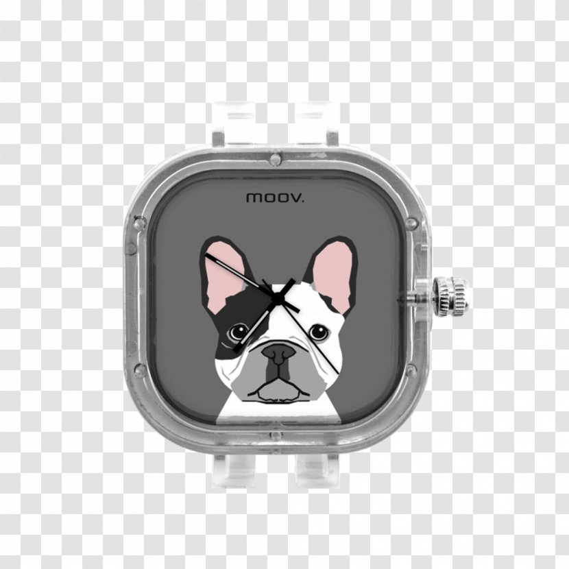 Boston Terrier French Bulldog Dalmatian Dog Puppy - Leash Transparent PNG