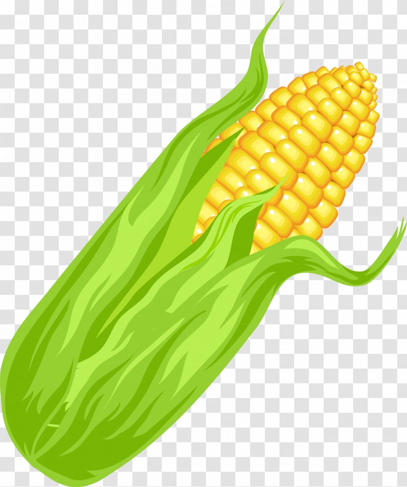 Maize Euclidean Vector Vegetable - Cdr - Fruits And Vegetables Material Transparent PNG