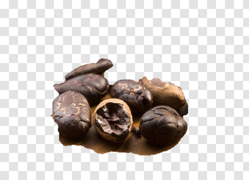 Chocolate-coated Peanut Praline Tree Nut Allergy - Food - Chocolate Transparent PNG