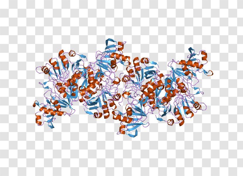 Tyrosinase Copper Proteins And Enzymes Melanin Oxidase - Levodopa Transparent PNG