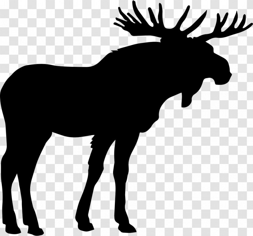 Moose Elk Clip Art - Mustang Horse - Rein Transparent PNG