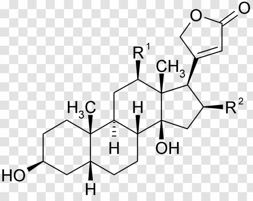 The Great Testosterone Myth Estradiol Estrogen Hormone Structural Formula - Heart - Foxglove Transparent PNG
