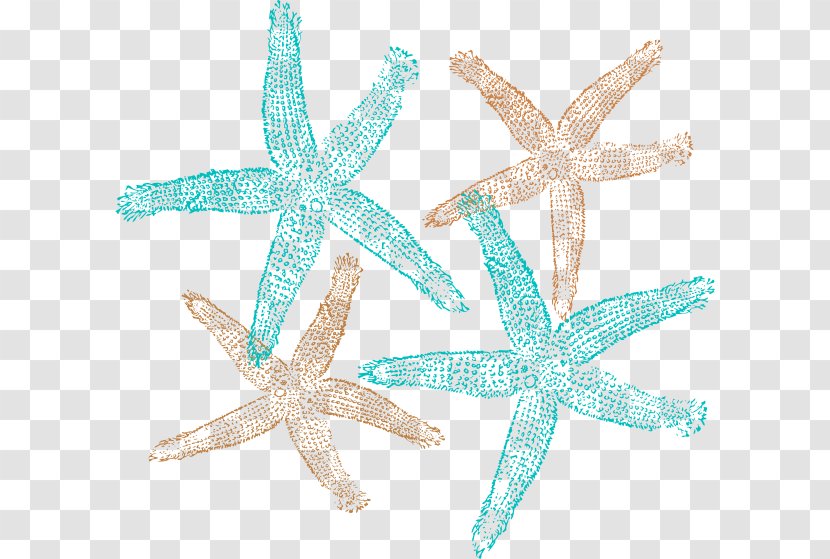 Starfish Clip Art - Organism - Posters Decorative Material Transparent PNG