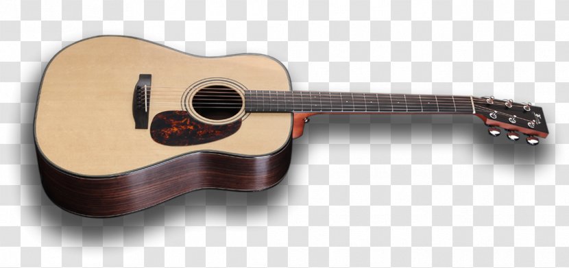Acoustic Guitar Cavaquinho Tiple Acoustic-electric Ukulele - Cartoon Transparent PNG