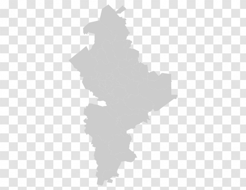 Nuevo León Vector Map Transparent PNG