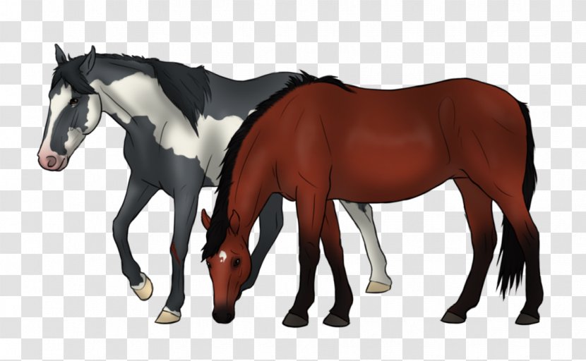 Mare Mustang Foal Rein Mane - Saddle Transparent PNG