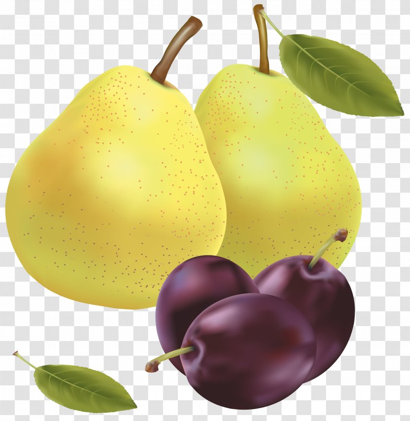 Fruit Pear Clip Art - Flower - Plum Transparent PNG