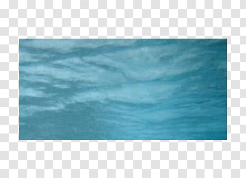 Marine Mammal Ocean Turquoise Rectangle Sky Plc - Olympus Stylus Transparent PNG
