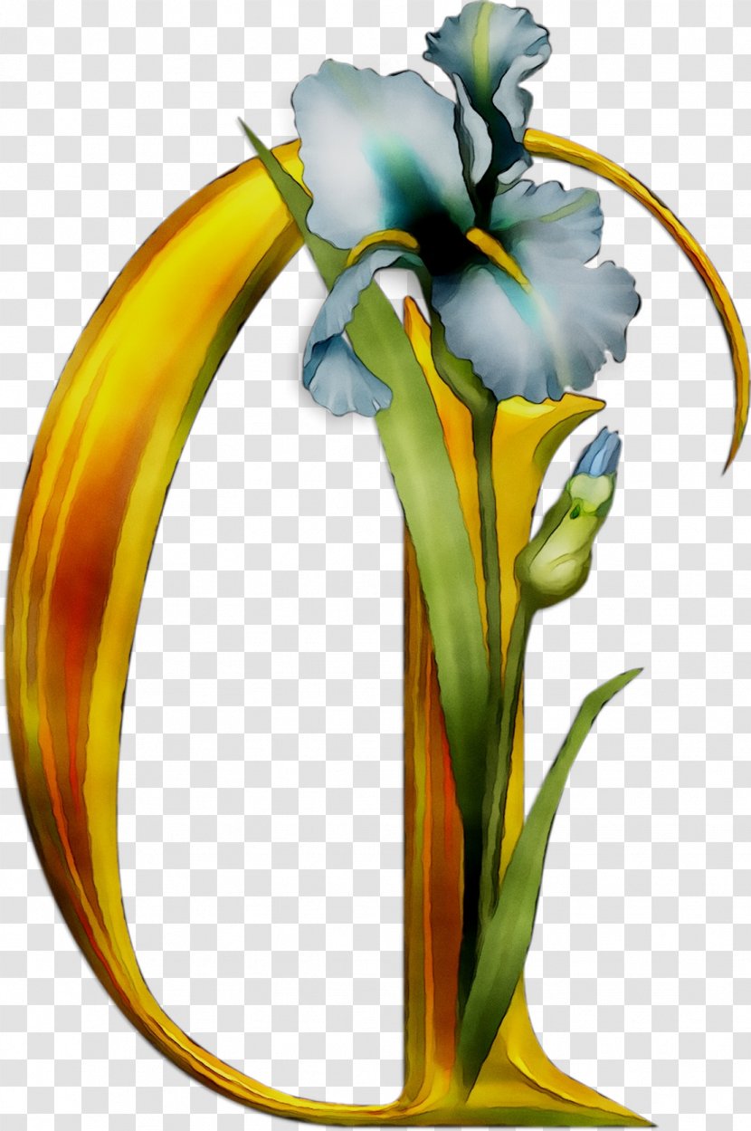 Floral Design Cut Flowers Yellow Illustration - Botany Transparent PNG