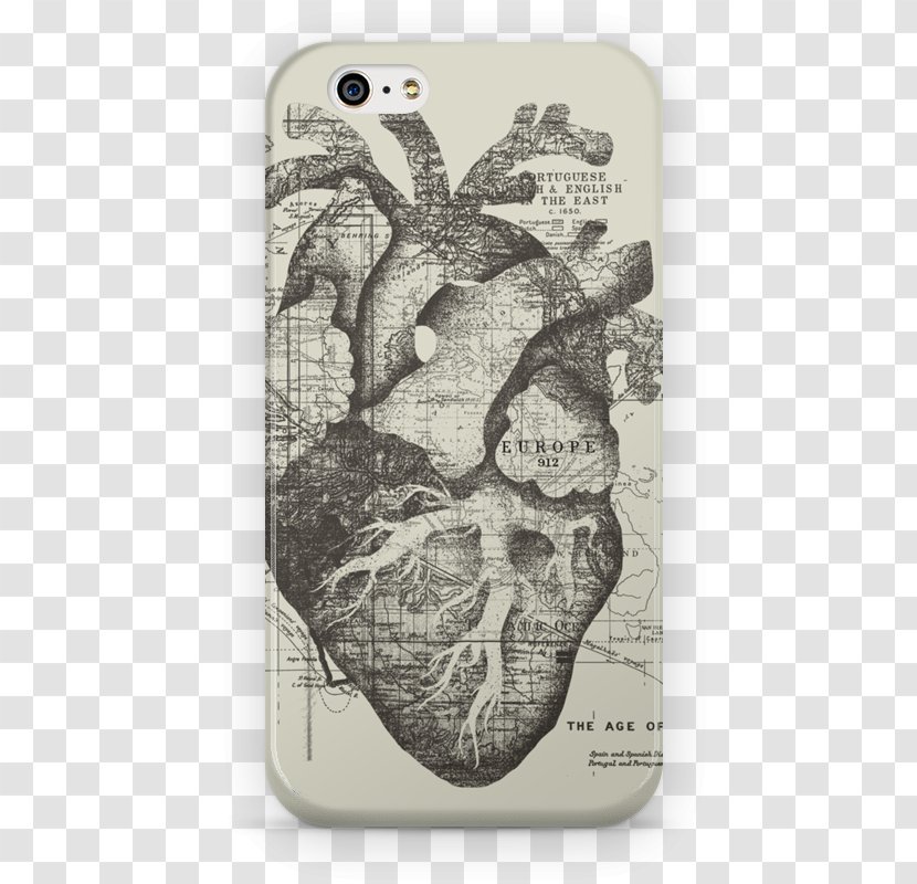 Kollwitz Internet Anatomy Heart .ch Plakat Naukowy - Watercolor - Cases Transparent PNG