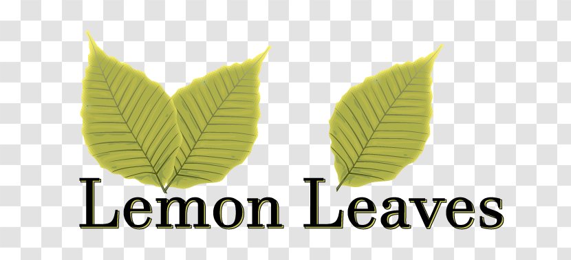Leaf Logo Lemon Brand Font - Delicious Takeout Transparent PNG