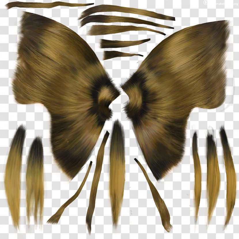 Butterfly Insect Moth Pollinator Wing - Arthropod Transparent PNG