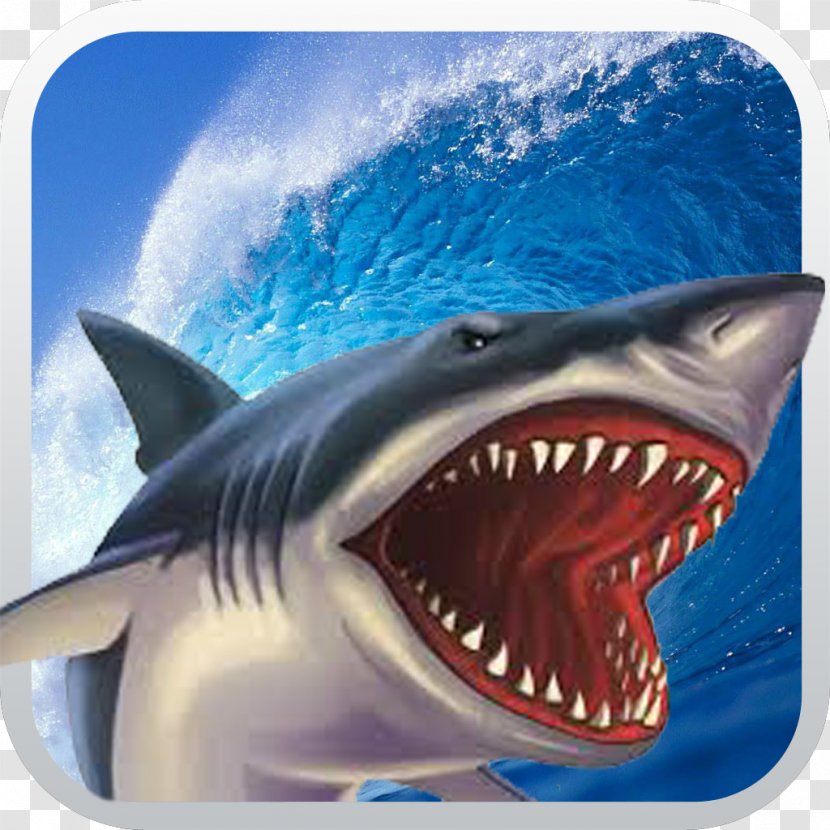 Shark Attack Simulator 3D Crocodile Free: Wild Transparent PNG