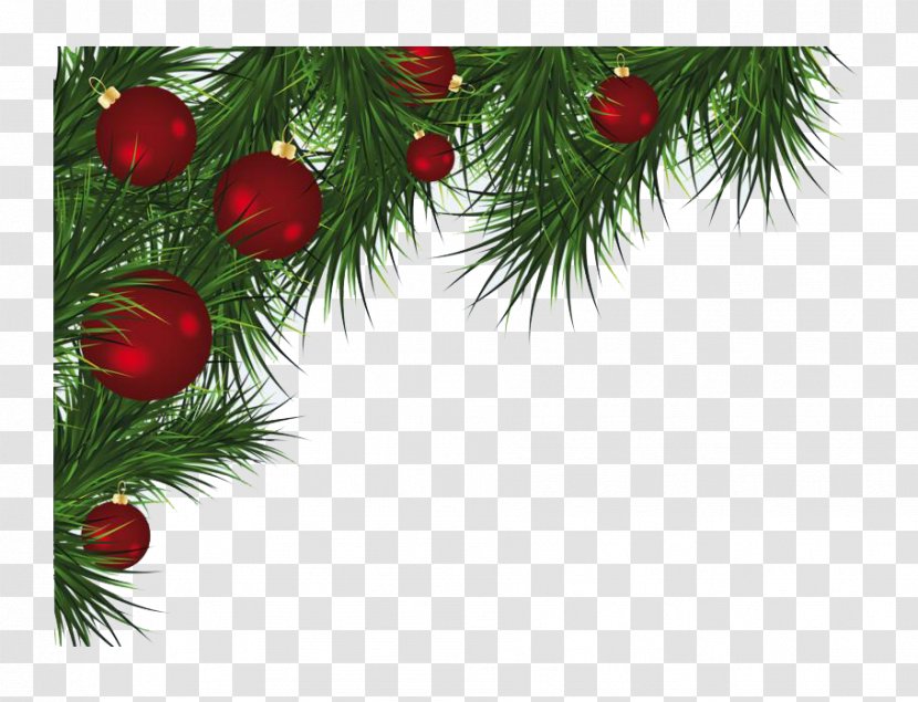 Christmas Card Greeting Decoration Ornament - Fir - Border Transparent PNG