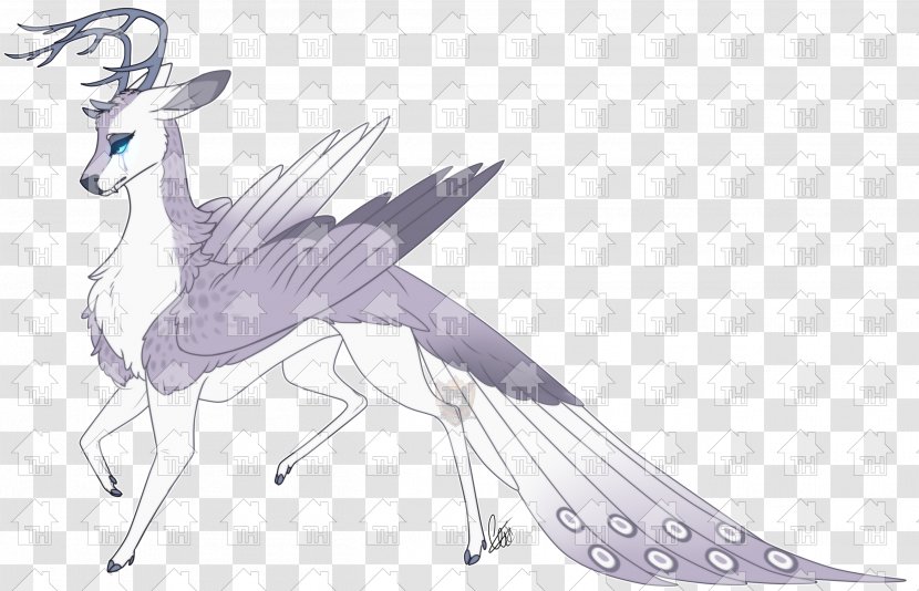 Feather Horse Deer Mammal - Drawing Transparent PNG