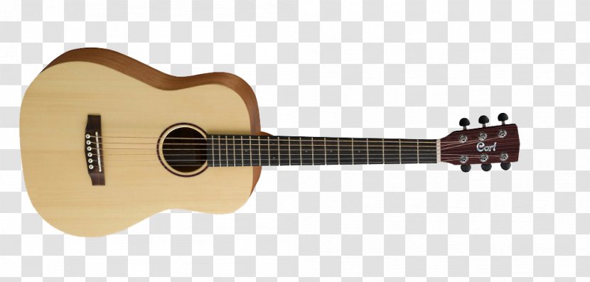 Cort Guitars Twelve-string Guitar Acoustic Musical Instruments - Watercolor Transparent PNG
