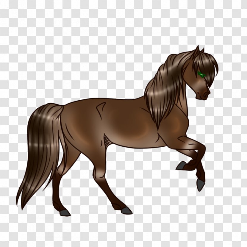 Mare Stallion Mustang Hanoverian Horse Colt - Rein Transparent PNG