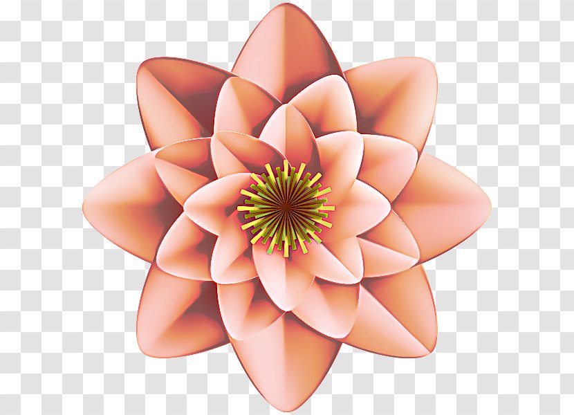 Petal Flower Plant Lotus Family Aquatic - Flowering Sacred Transparent PNG