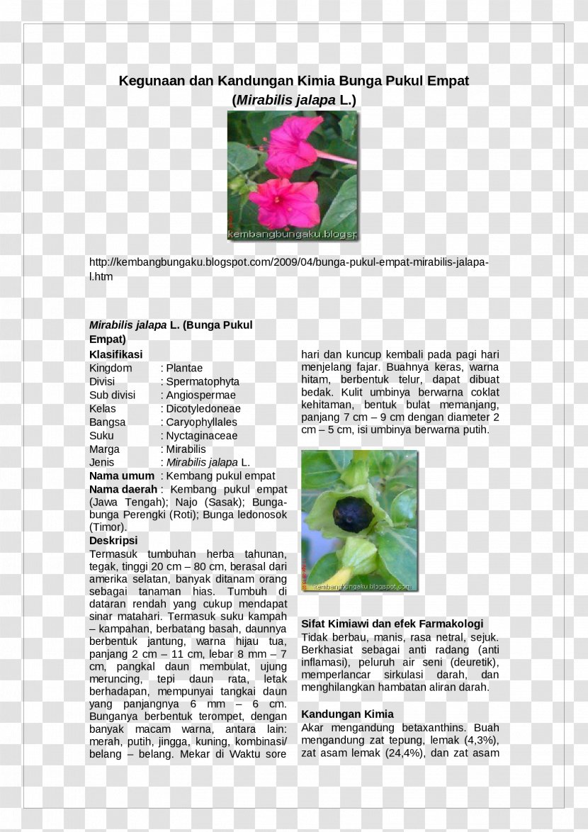 Brochure - Plant Transparent PNG