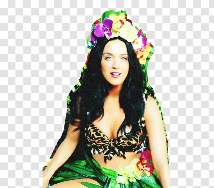 Katy Perry Roar One Of The Boys Teenage Dream Transparent PNG
