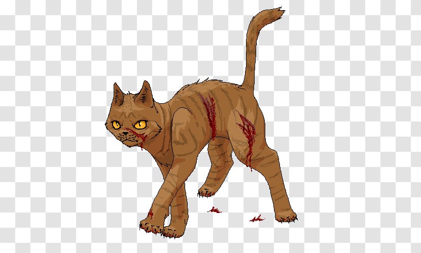 Whiskers Cat Warriors The Rise Of Scourge Mudfur - Organism Transparent PNG