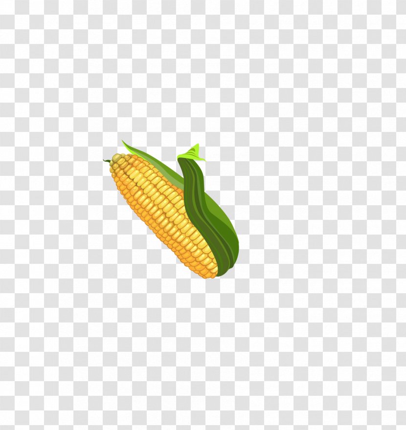 Maize - Cartoon - A Corn Transparent PNG