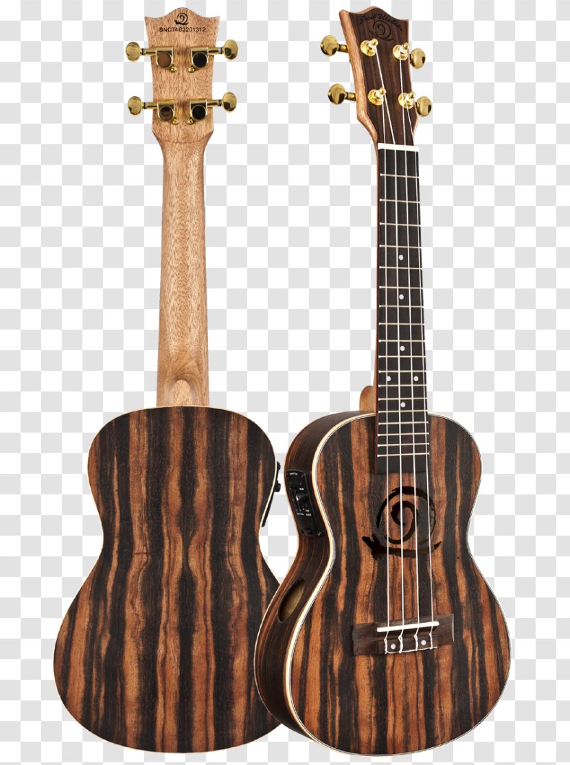 Ukulele Bass Guitar Acoustic Acoustic-electric Tiple - Tree Transparent PNG