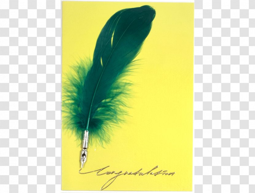 Paper Feather Pen Stationery - Film Poster Transparent PNG